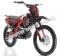 Apollo DB36 250cc Dirt Bike Motocross Racing Pit Bike Orion Trail Bike