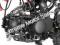 Apollo DB21 DB25 70cc Kids Youth Dirt Bike XR50 Automatic Or Semi