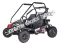 Dirt Moto 200 Kids Go Cart GoKart Off Road Dune Buggy 196cc