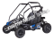 Dirt Moto 200 Kids Go Cart GoKart Off Road Dune Buggy 196cc