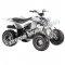 Pentora 125cc EFI ATV Kids Quad Automatic with Reverse 4 Stroke Gas