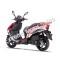 Wolf EX-150 150cc Gas Scooter Moped Street Legal 2 Year Warranty