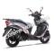 Wolf EX-150 150cc Gas Scooter Moped Street Legal 2 Year Warranty