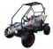 Shark GK125B Kids Go Cart Go Kart Off Road Coolster Buggy