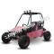 RAIDER 125cc Kids Go Cart Go Kart Dune Buggy 2 Seater