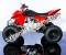 Trax Tornado 250cc ATV Sport Quad 4 Wheeler 4 Stroke 4-Speed