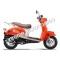 Wolf Islander 50cc Gas Scooter Moped 49cc Street Legal 2 Year Warranty