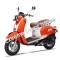 Wolf Islander 50cc Gas Scooter Moped 49cc Street Legal 2 Year Warranty