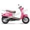 Wolf Islander 50cc Gas Scooter Moped 49cc Street Legal 2 Year Warranty