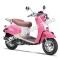 Wolf Islander 50cc Gas Scooter Moped 49cc Street Legal 2 Year Warranty