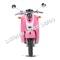 Wolf Islander 50cc Gas Scooter Moped 49cc Street Legal 2 Year Warranty