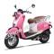 Wolf Islander 50cc Gas Scooter Moped 49cc Street Legal 2 Year Warranty