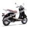 Wolf Islander 50cc Gas Scooter Moped 49cc Street Legal 2 Year Warranty