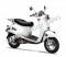 Wolf Islander 50cc Gas Scooter Moped 49cc Street Legal 2 Year Warranty