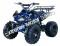 Alpine Jet 9 125cc Kids ATV Sport Fully-Auto Quad with Reverse