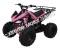 Alpine Jet 9 125cc Kids ATV Sport Fully-Auto Quad with Reverse