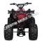 Alpine Jet 9 125cc Kids ATV Sport Fully-Auto Quad with Reverse