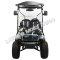 Massimo MGC2 48v Electric Vehicle Golf Cart Electric- 2 Seat