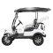 Massimo MGC2 48v Electric Vehicle Golf Cart Electric- 2 Seat