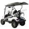 Massimo MGC2 48v Electric Vehicle Golf Cart Electric- 2 Seat