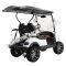 Massimo MGC2 48v Electric Vehicle Golf Cart Electric- 2 Seat