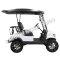 Massimo MGC2 48v Electric Vehicle Golf Cart Electric- 2 Seat