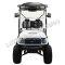 Massimo MGC2 48v Electric Vehicle Golf Cart Electric- 2 Seat