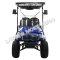 Massimo MGC2 48v Electric Vehicle Golf Cart Electric- 2 Seat