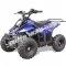 MT-ATV-Rex-110cc