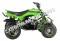 Pentora 125cc EFI ATV Kids Quad Automatic with Reverse 4 Stroke Gas