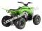 Pentora 125cc EFI ATV Kids Quad Automatic with Reverse 4 Stroke Gas