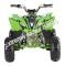 Pentora 125cc EFI ATV Kids Quad Automatic with Reverse 4 Stroke Gas