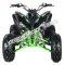 Pentora 150cc ATV Sport Quad 4 Wheeler Automatic Transmission