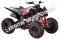 Pentora 200cc ATV EFI Fuel Injected Quad 4 Wheeler Automatic Transmission