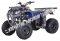 Pentora 250cc ATV Manual Transmission Off Road Quad 4 Wheeler Utility