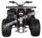 Pentora 250cc ATV Manual Transmission Off Road Quad 4 Wheeler Utility