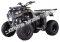 Pentora 250cc ATV Manual Transmission Off Road Quad 4 Wheeler Utility