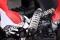 Pentora 250cc ATV Manual Transmission Off Road Quad 4 Wheeler Sport