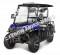 Vitacci Rover 200 EFI 200cc Utility Vehicle SXS UTV Golf Cart