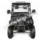 Rover 200 EFI DUMP 200cc SXS UTV Golf Cart Neighborhood Vehicle