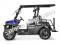 Vitacci Rover 200 EFI 200cc Utility Vehicle SXS UTV Golf Cart