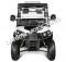 Rover 200 EFI DUMP 200cc SXS UTV Golf Cart Neighborhood Vehicle