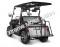 Vitacci Rover 200 EFI 200cc Utility Vehicle SXS UTV Golf Cart