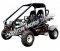 Tiking Explorer TK150-2C 150cc Go Kart Go Cart Off-Road Dune Buggy