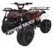 Cougar UT-125 125cc Kids ATV Utility Semi-Auto Quad with Reverse