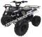 Cougar UT-125 125cc Kids ATV Utility Semi-Auto Quad with Reverse