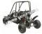 Shark GK125 Kids Go Cart Go Kart Off Road Coolster Buggy