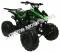 Snake Eyes 125cc Kids Sport ATV Automatic with Reverse Full Size Quad