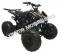 Snake Eyes 125cc Kids Sport ATV Automatic with Reverse Full Size Quad