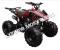 Snake Eyes 125cc Kids Sport ATV Automatic with Reverse Full Size Quad